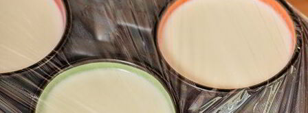 домашний йогурт. Шаг 5