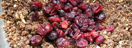 клюквенно-мятные шоколадные конфеты. Шаг 4