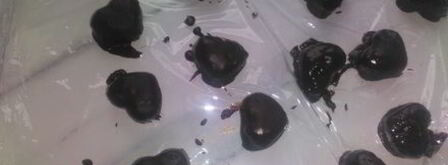 конфеты грильяж. Шаг 12