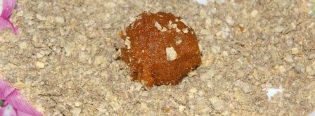 конфеты рыжик. Шаг 9