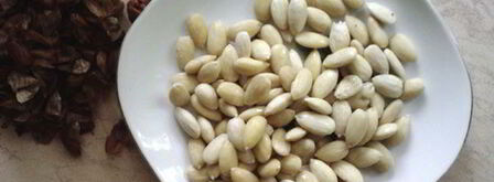 марципановые конфеты. Шаг 2