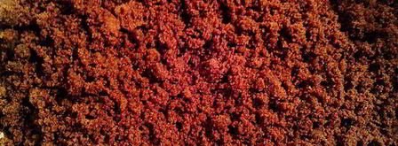 ромовые конфеты извините, детки. Шаг 3