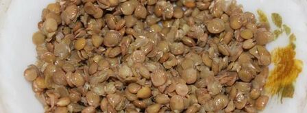 шоколадные конфеты из чечевицы. Шаг 2