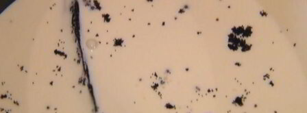 бисквит с клубникой и сливочным кремом. Шаг 11