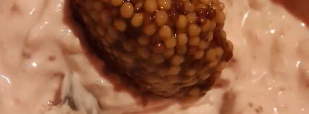 груши с нежным кремом. Шаг 4