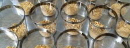 лимонный крем со сгущенкой. Шаг 3