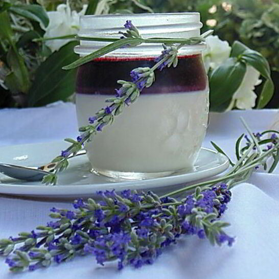 Рецепт лавандовая панна-котта с черничным соусом