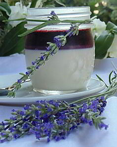 Лавандовая панна-котта с черничным соусом