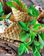 Домашнее мороженое из йогурта