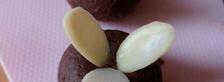 мангово-черничное мороженое с конфетами рафаэлло с шоколадными шариками. Шаг 11