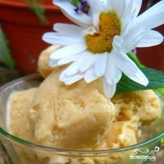 Рецепт мороженое из козьего молока