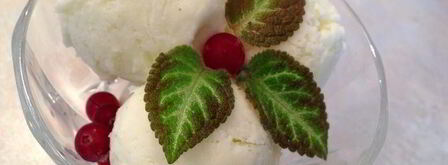 мороженое с лимонным соком. Шаг 10