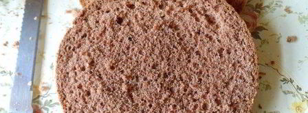 торт-мороженое малиново-розовая симфония. Шаг 10