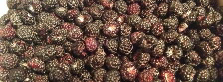 мусс из ежевики. Шаг 3