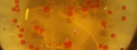 мусс из куриной печенки с икрой из морса. Шаг 6