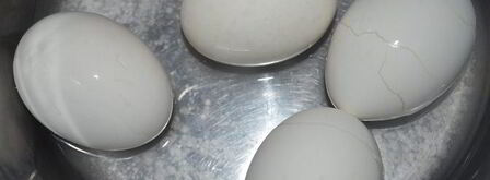 праздничный цукотто из форели с нежнейшим креветочным муссом, огурцом и сливочным кремом. Шаг 5