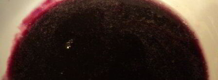 шоколадный рулет с черничным муссом. Шаг 7