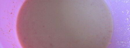 австрийский пасхальный райндлинг. Шаг 2