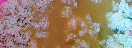 медовая пасха с лимонными финиками. Шаг 6