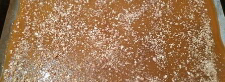 сливовая пастила с мятой и имбирем. Шаг 6