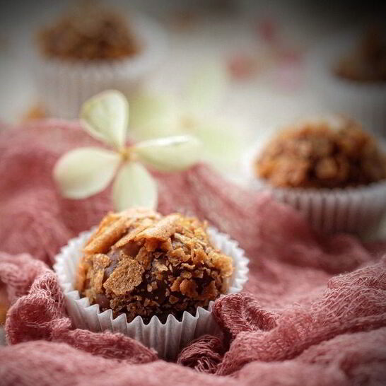 Рецепт трюфели с абрикосовым пюре, курагой и ромом