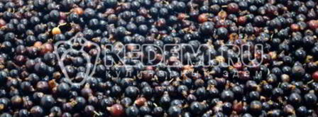 желе из черной смородины. Шаг 2