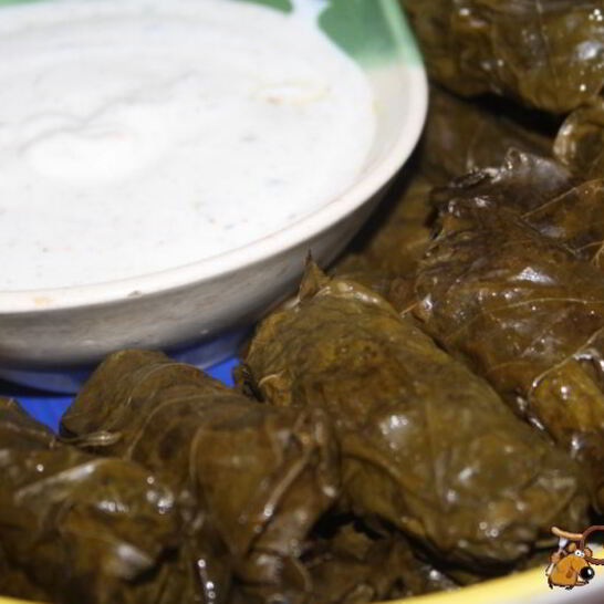 Рецепт долма из молодых виноградных листьев с начинкой из смешанного фарша