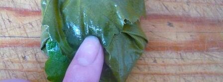 долма из свежих виноградных листьев. Шаг 10