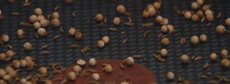 долма с кускусом и вялеными помидорами. Шаг 4