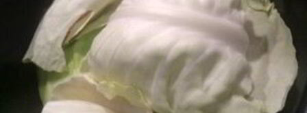 голубцы из индейки. Шаг 5