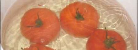 овощные голубцы. Шаг 11