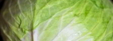 запеченные голубцы в сметанном соусе. Шаг 4