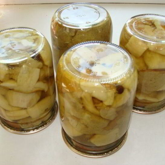 Рецепт грибы белые