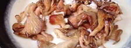 грибы под соусом бешамель. Шаг 5