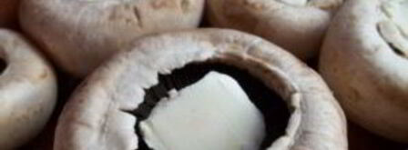 грибы под сыром в духовке. Шаг 4