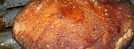 грибы запеченные с сыром. Шаг 25