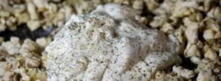 шампиньоны, фаршированные курицей и сыром. Шаг 7