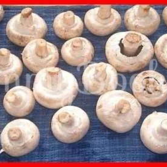 Рецепт шампиньоны фаршированные с беконом