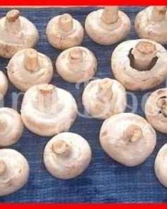 Шампиньоны фаршированные с беконом