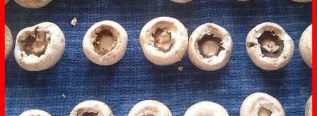 шампиньоны фаршированные с беконом. Шаг 9