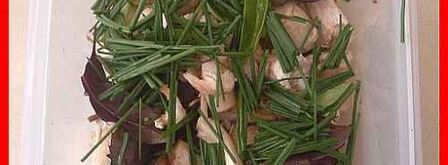 шампиньоны фаршированные с беконом. Шаг 13