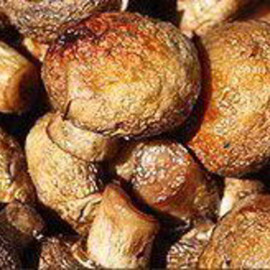 Рецепт шампиньоны на мангале