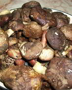 Тушеные моховики