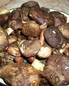 Тушеные моховики