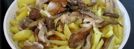 вешенки жареные с картошкой. Шаг 9