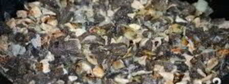 жареные сморчки в сметане. Шаг 6