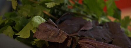 суп-гуляш из говядины. Шаг 4