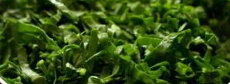 грибная лазанья. Шаг 5