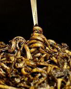 Паста с каракатицей