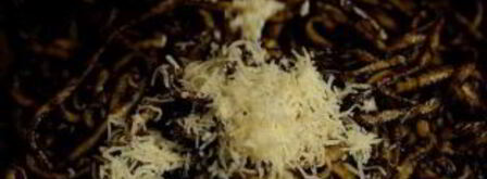 паста с каракатицей. Шаг 7